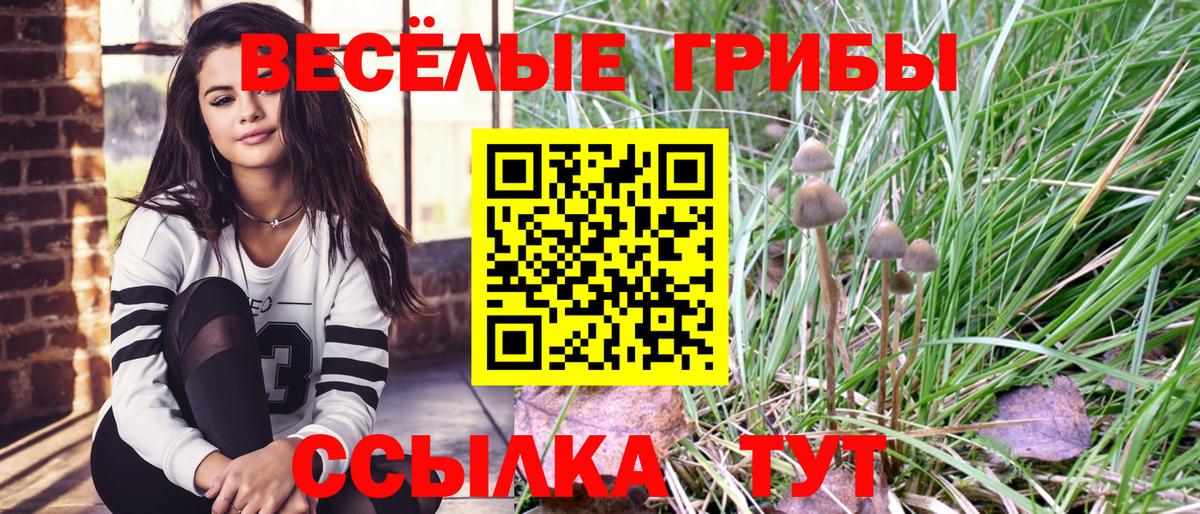 Раменское  Псилоцибиновые грибы прущие грибы  Вход с VPN  Галлюциногенные грибы ЛСД 